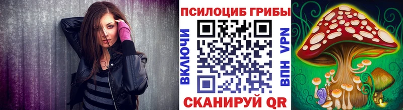 Галлюциногенные грибы Psilocybine cubensis  Купить  Мамоново 
